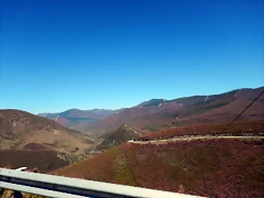 DSCN9387 DSCN9387