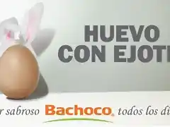 bachoco3