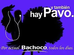 bb-60x40-hay-pavo