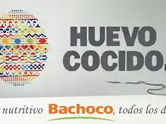 bachoco1