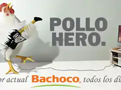 bachoco5