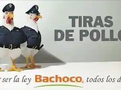 bachoco2