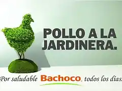 bb-60x40-jardinera