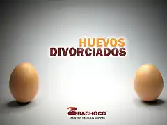 bachoco 3