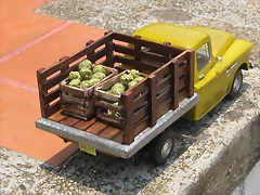 IMG_0353 IMG_0353