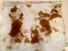 20210124_101110 20210124_101110
