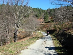 DSCN7929 DSCN7929