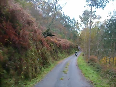 DSCN9187 DSCN9187