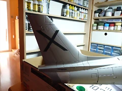 P1100042 P1100042