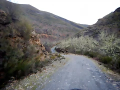 DSCN3344 DSCN3344