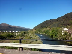 DSCN5419 DSCN5419
