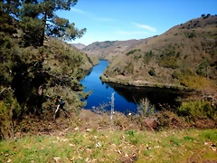 DSCN5145 DSCN5145