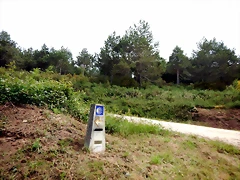DSCN4310 DSCN4310