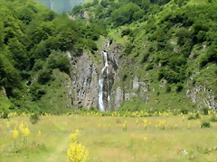 IMG_7667 IMG_7667