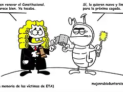 constitucional