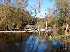 DSCN1063 DSCN1063