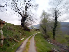 DSCN9682 DSCN9682
