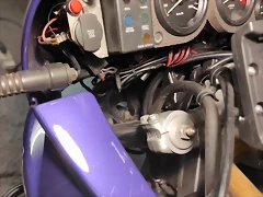58