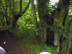DSCN4760 DSCN4760