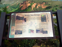 DSCN3012