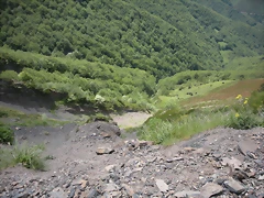 DSCN3970 DSCN3970