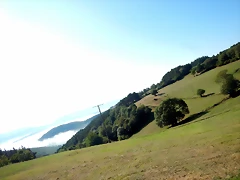 DSCN6951 DSCN6951