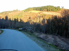 DSCN6667 DSCN6667