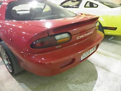 P1150102 P1150102