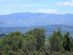 168-Imagen 169 168-Imagen 169