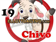 chivo