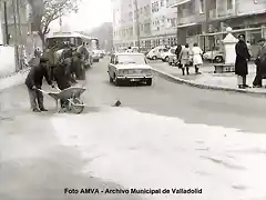 Valladolid c. Alamillos  ---tribujaos