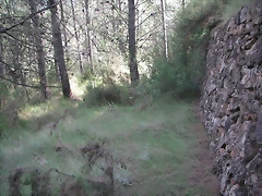Sueras 021 Sueras 021
