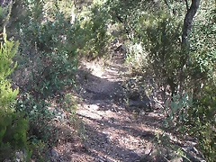 Sueras 002 Sueras 002