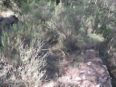 Sueras 024 Sueras 024