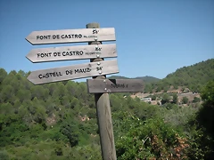 Sueras 033 Sueras 033