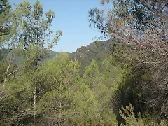 Sueras 013 Sueras 013
