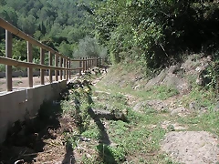 Sueras 035 Sueras 035