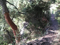 Sueras 005 Sueras 005