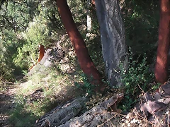 Sueras 006 Sueras 006