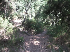 Sueras 007 Sueras 007
