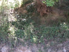 Sueras 029 Sueras 029