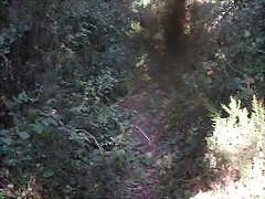 Sueras 009 Sueras 009