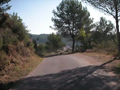 Sueras 017 Sueras 017