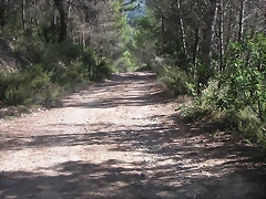 Sueras 014 Sueras 014