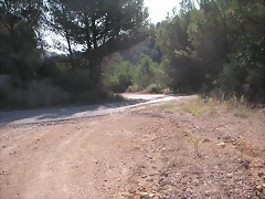 Sueras 015 Sueras 015