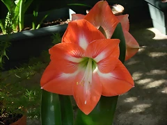 DSCN0812 DSCN0812