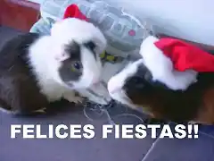 Felices fiestas