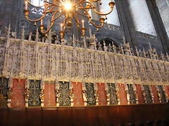 IMG_3004 IMG_3004