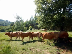 DSCN6613 DSCN6613