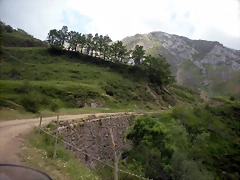 DSCN3594 DSCN3594